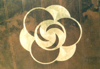 Crop Circle
