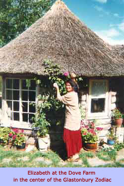Thatched roof house